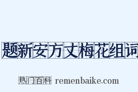 题新安方丈梅花组词是什么意思的图片